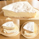 わんこ燗酒と特製粕汁と発酵食品の会