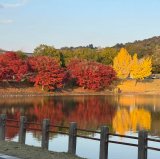 年末年始の営業について