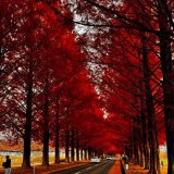 本日もお客様のご来店をお待ちしております