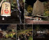 本日は“香月ワインズDAY”