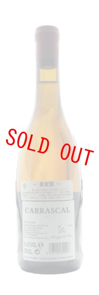 画像2: カラスカルPX 2014 (2)