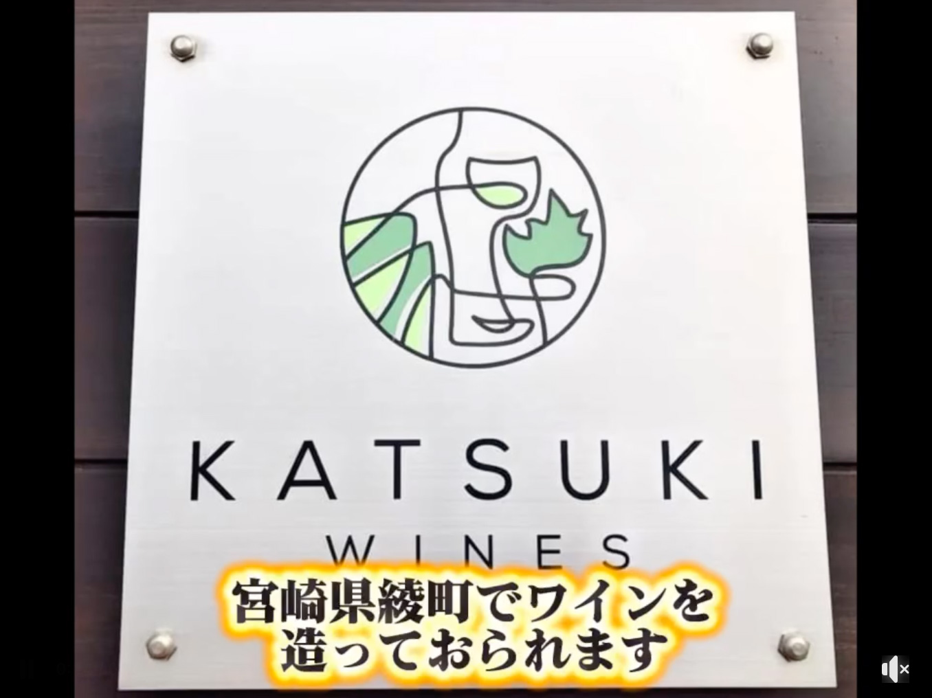 飲んで、聴いて、喋る！ワイン会