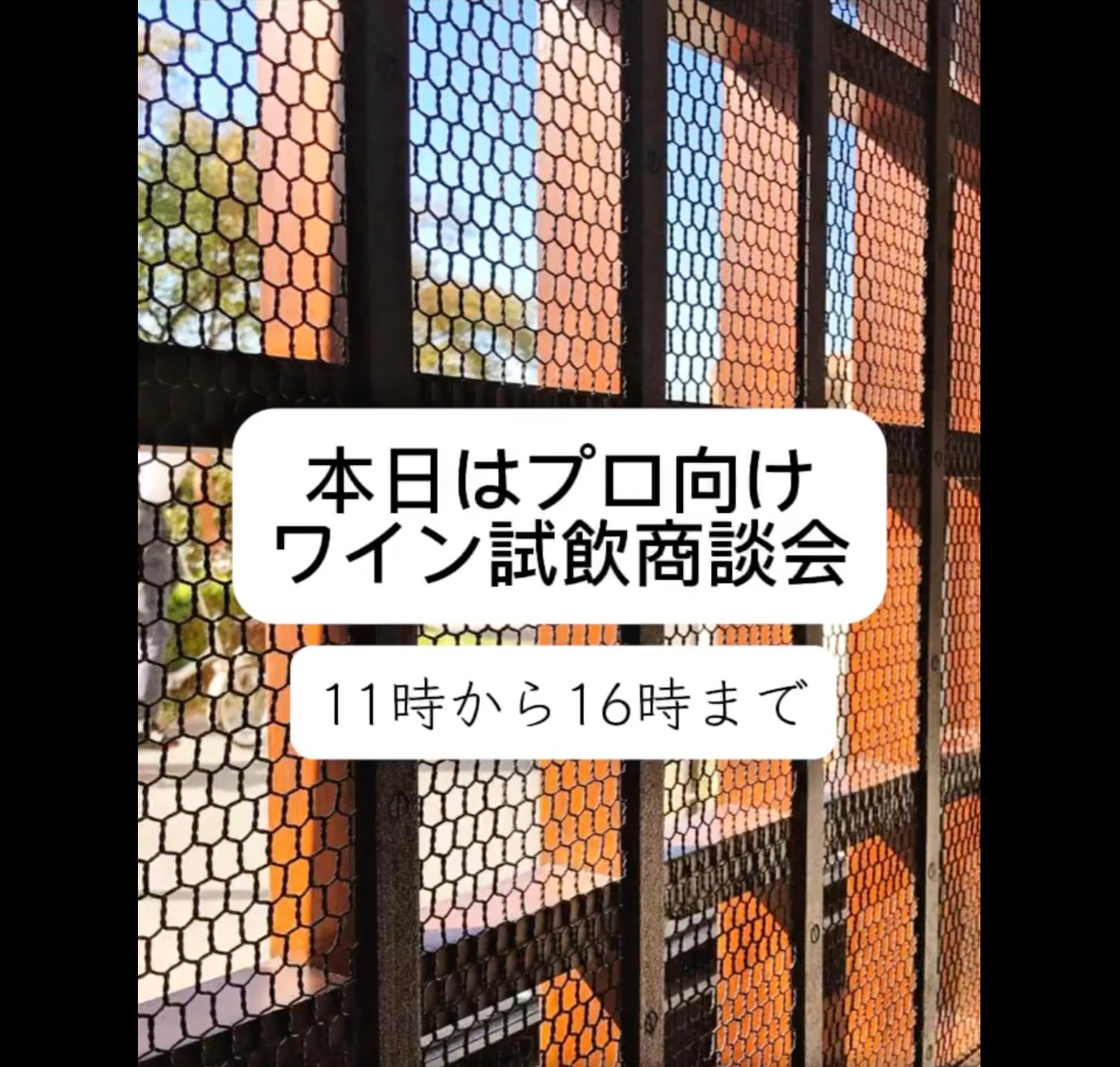 プロ向けワイン試飲商談会