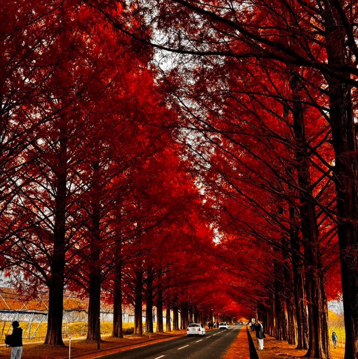 本日もお客様のご来店をお待ちしております